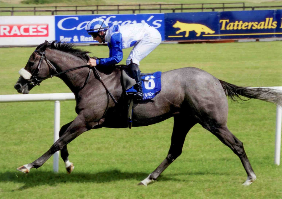 GREEK CANYON - Winning at Fairyhouse 14th July 2013